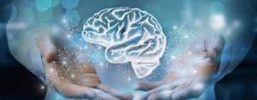 Santa Fe consolida su modelo de salud mental comunitaria con apoyo internacional