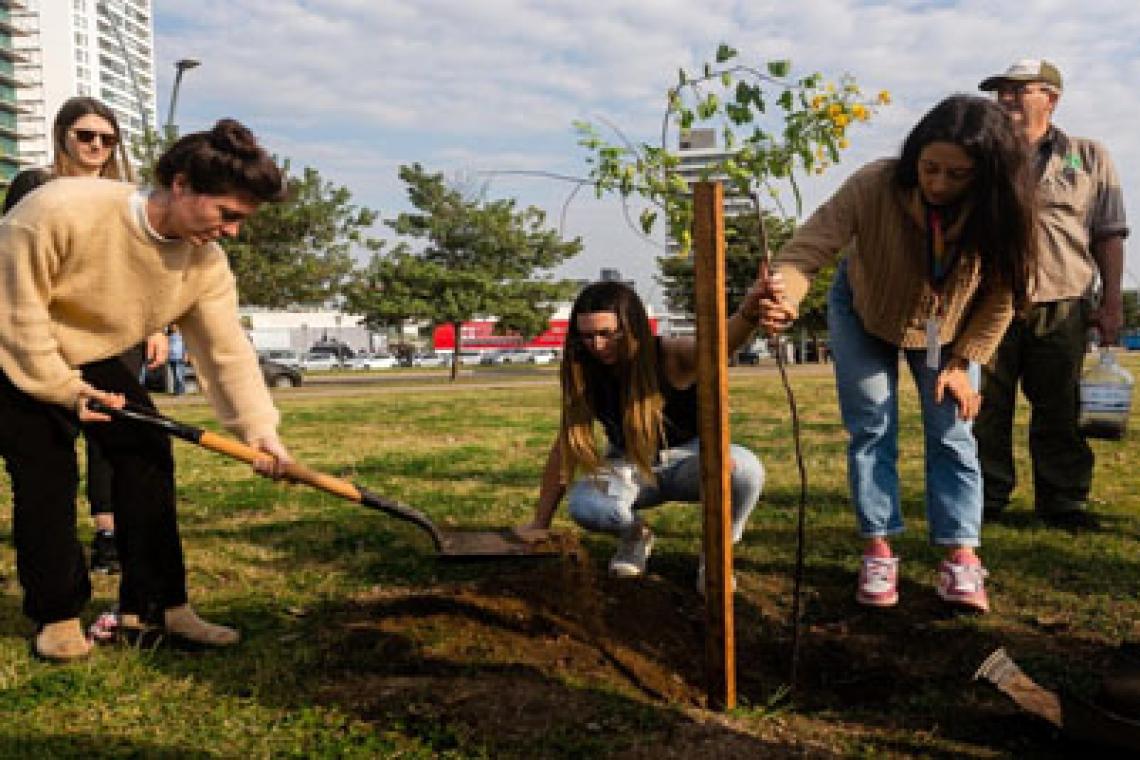 Convocan a voluntarias y voluntarios a una masiva plantación de árboles en el parque Scalabrini Ortiz