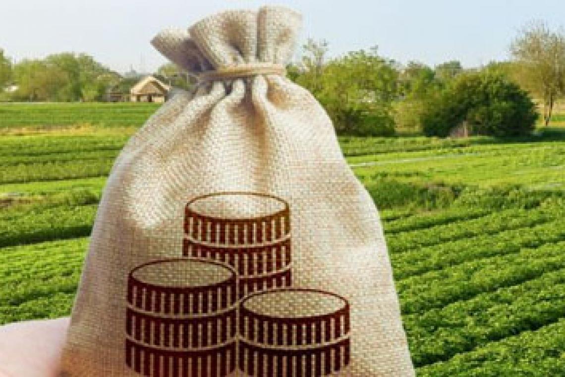 Santa Fe considera “un error” que se vuelvan a aumentar las retenciones al sector agropecuario