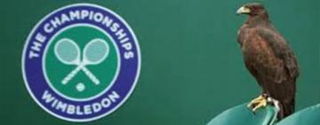Esta semana comenzó a disputarse el tercer Grand Slam de la temporada