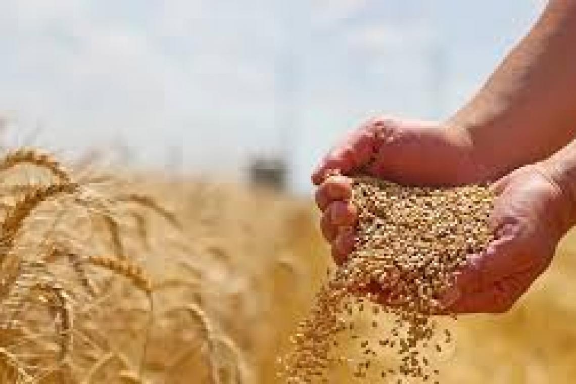 La Sociedad Rural de Rosario exige una baja inmediata de retenciones y reformas estructurales