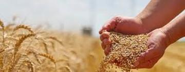 La Sociedad Rural de Rosario exige una baja inmediata de retenciones y reformas estructurales