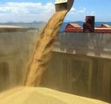 Agroexportadores liquidaron solo U$S 1.117 millones en octubre y alertan por la fuerte caída mensual