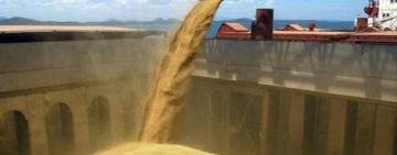 Agroexportadores liquidaron solo U$S 1.117 millones en octubre y alertan por la fuerte caída mensual