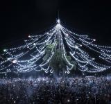 El arbolito de Oroño y Pellegrini se ilumina para celebrar una nueva Navidad rosarina