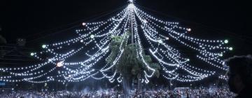 El arbolito de Oroño y Pellegrini se ilumina para celebrar una nueva Navidad rosarina