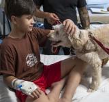 Con Cala y Zafira, comenzó la prueba piloto de ingreso de animales de compañía en el Hospital Vilela