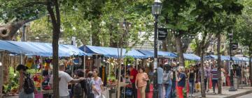 Llega una nueva edición de la Feria Navideña en plaza Pringles