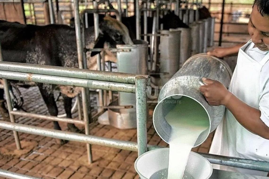 Santa Fe lidera las exportaciones lácteas y consolida el crecimiento del sector