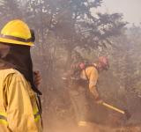 Brigadistas santafesinos ya combaten los incendios forestales en Puerto Patriada, en Chubut