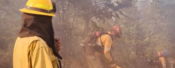 Brigadistas santafesinos ya combaten los incendios forestales en Puerto Patriada, en Chubut
