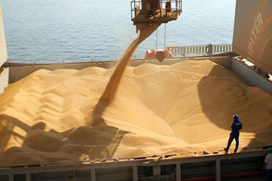 El Estado se lleva el 62,5% del campo en plena suba de costos