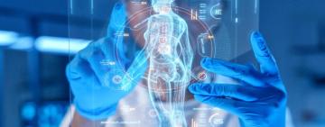 Científicas logran el primer mapa 3D del clítoris y revelan su compleja red nerviosa