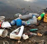 Alerta en el Paraná: por qué escasea el pescado en los ríos de Santa Fe