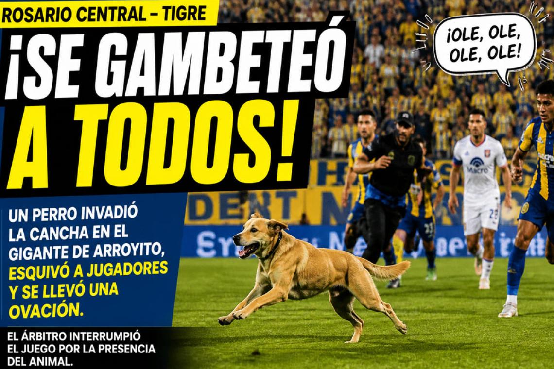 ¡Se gambeteó a todos! Un perro invadió la cancha en Central–Tigre y se llevó la ovación