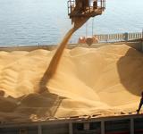 Pese a la cosecha récord, la liquidación de dólares del campo cayó 11% en el primer cuatrimestre