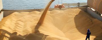 Pese a la cosecha récord, la liquidación de dólares del campo cayó 11% en el primer cuatrimestre