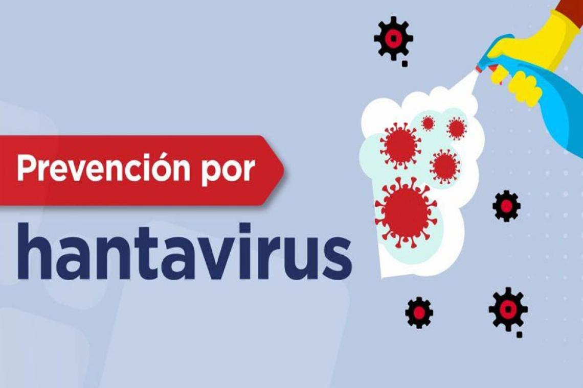 Hantavirus: qué tan real es el riesgo y cómo protegerse sin entrar en pánico