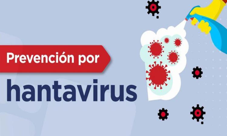 Hantavirus: qué tan real es el riesgo y cómo protegerse sin entrar en pánico
