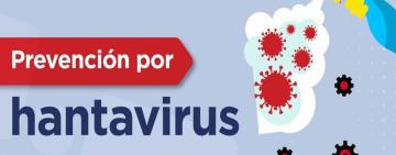 Hantavirus: qué tan real es el riesgo y cómo protegerse sin entrar en pánico