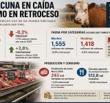 La faena vacuna cayó al nivel más bajo en décadas y el consumo de carne sigue retrocediendo