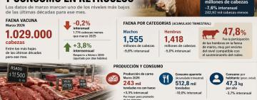 La faena vacuna cayó al nivel más bajo en décadas y el consumo de carne sigue retrocediendo