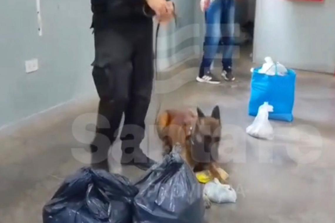 Controles en cárceles: detectaron marihuana y cocaína ocultas entre pertenencias de visitantes al penal de Las Flores