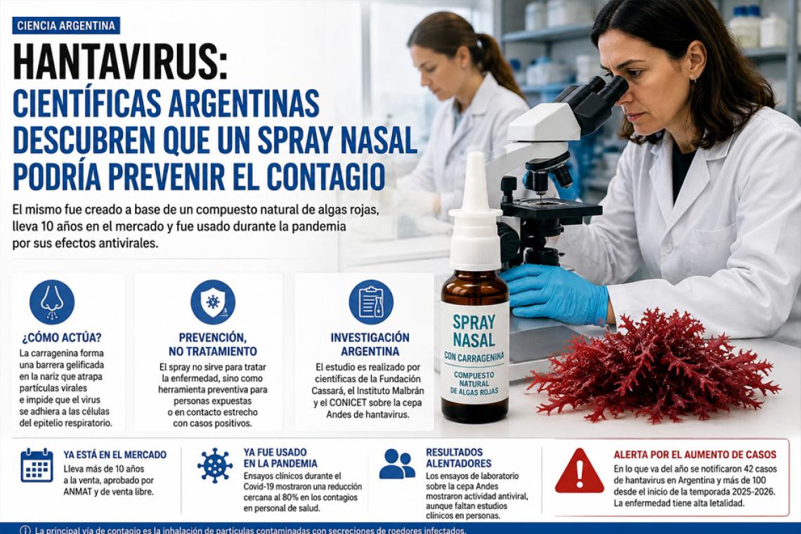 Hantavirus: científicas argentinas investigan un spray nasal que podría prevenir el contagio