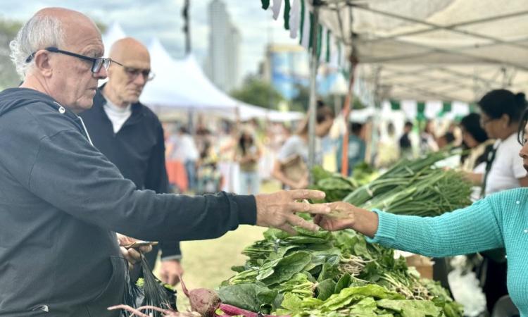 Fin de semana patrio: vuelve Biomercado y habrá Festival del Repulgue en el Mercado del Río