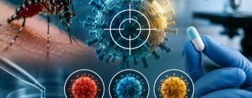 Científicos argentinos descubren un “talón de Aquiles” común en el dengue, Zika y fiebre amarilla: avanzan hacia un posible antiviral