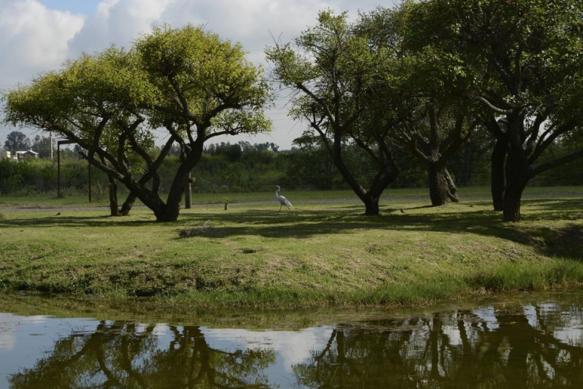 Rosario acelera su plan climático: el 77% de las acciones ya están en marcha o finalizadas