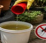 Recomiendan reforzar la prevención del dengue también durante el invierno