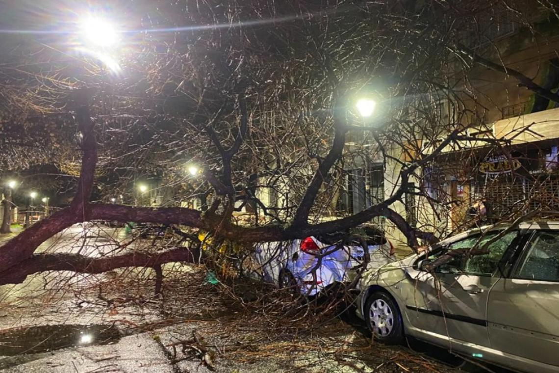 Tormenta en Rosario: múltiples intervenciones por el temporal