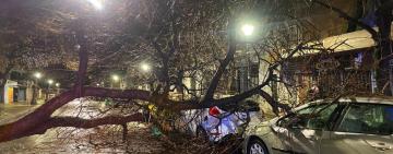 Tormenta en Rosario: múltiples intervenciones por el temporal
