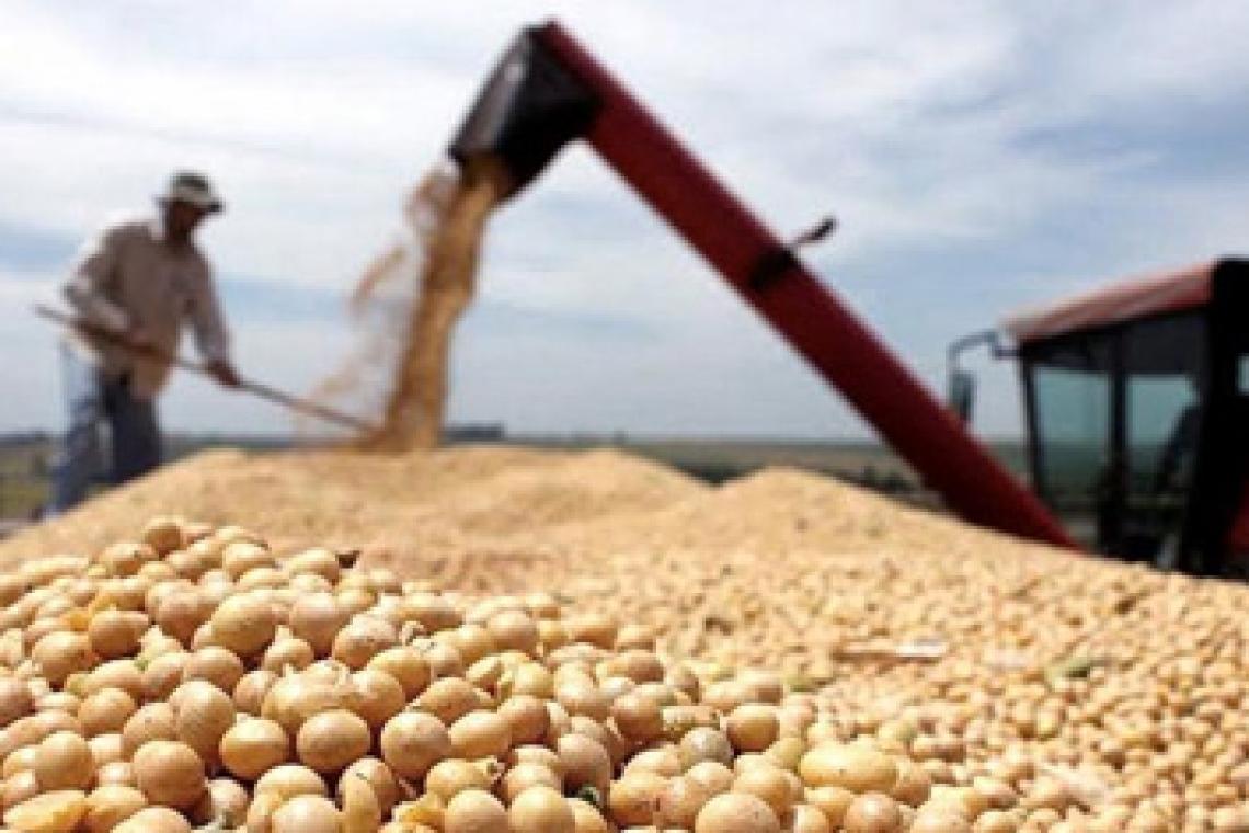 Cosecha récord, pero ingresaron menos dólares del campo