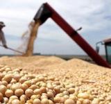 Cosecha récord, pero ingresaron menos dólares del campo