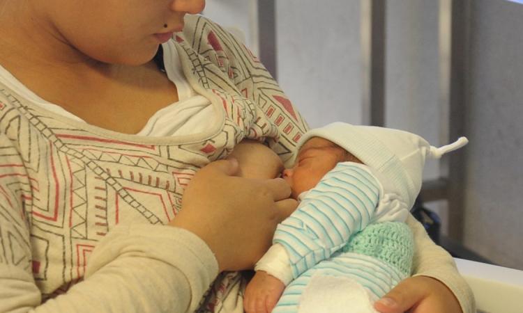 Lactancia materna: beneficios, cuidados y derechos que acompañan a madres y bebés