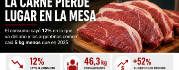La carne vacuna pierde lugar en la mesa: el consumo cayó 12% y toca mínimos de dos décadas