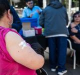 Dengue: Rosario refuerza la prevención ante una nueva temporada