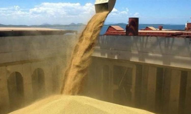 El agro liquidó US$2.750 millones en agosto, pero acumula una caída del 12% en 2026