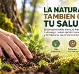 Volver a tocar la tierra: por qué el contacto con la naturaleza puede beneficiar nuestras defensas