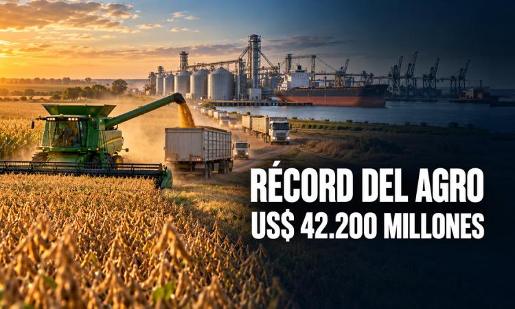 El agro podría aportar un récord de US$ 42.200 millones en exportaciones