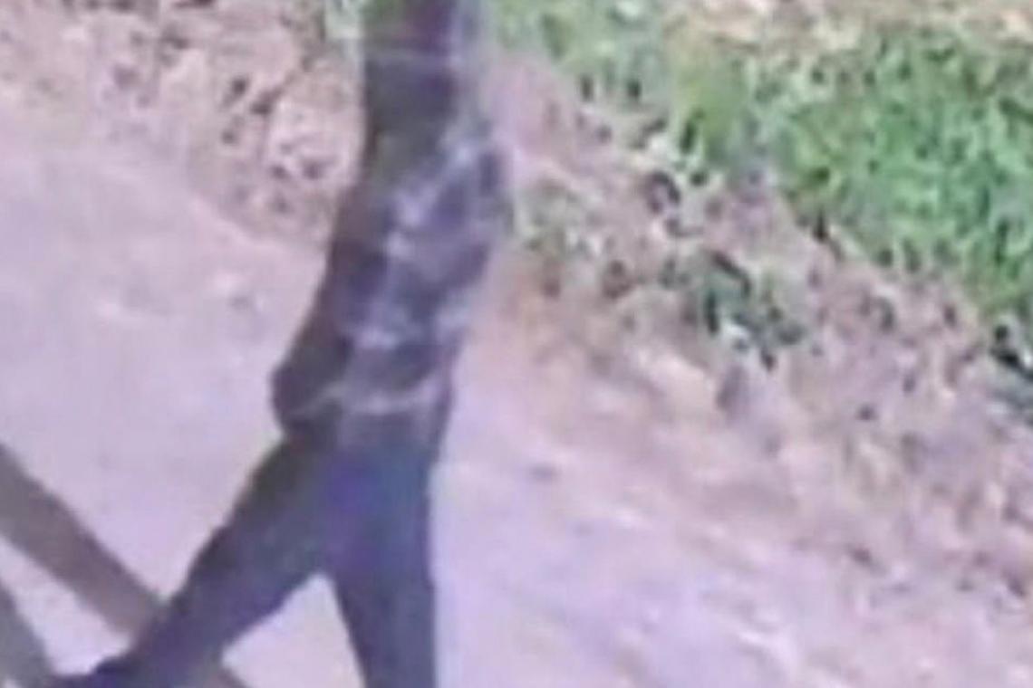 San Lorenzo: detuvieron a un sospechoso de robo tras seguir su recorrido con cámaras
