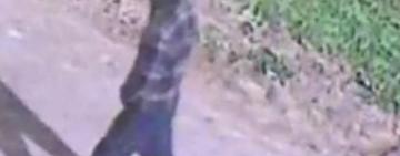 San Lorenzo: detuvieron a un sospechoso de robo tras seguir su recorrido con cámaras