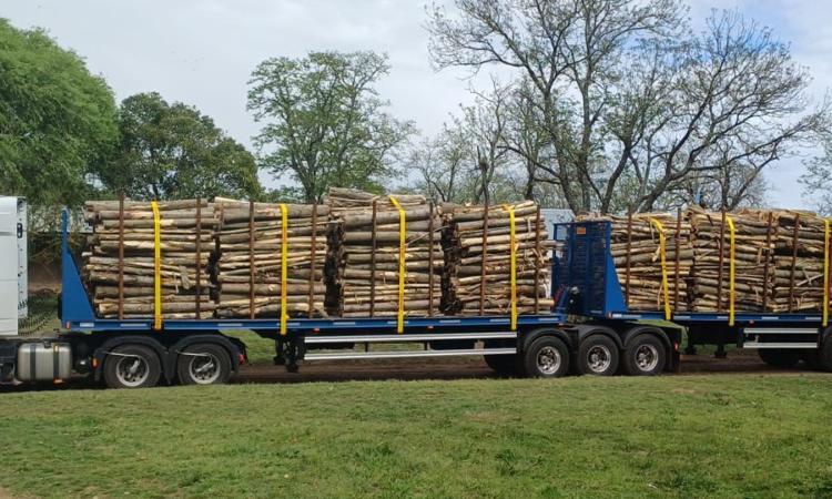 Papel Prensa comenzó a operar con bitrenes de hasta 75 toneladas en la Ruta 94