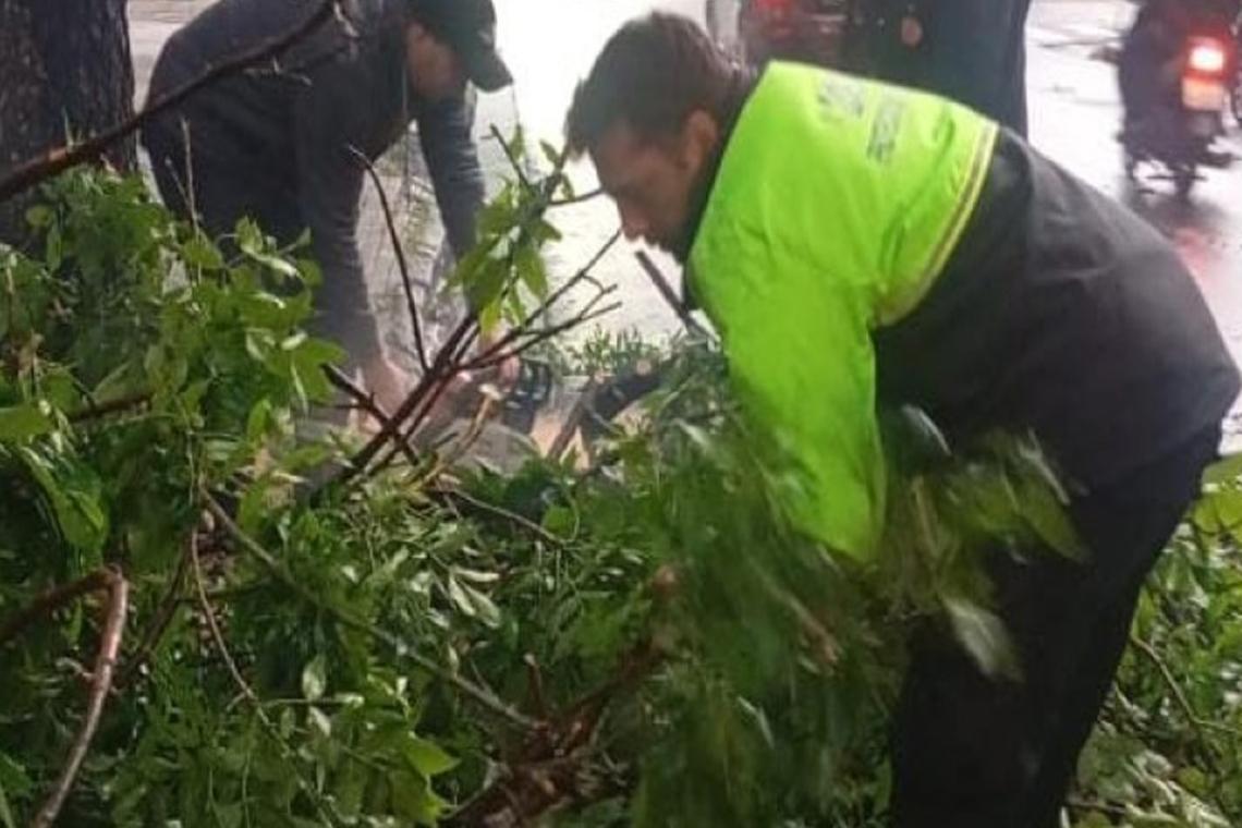Tormentas en Rosario: reforzaron las guardias y resolvieron más de la mitad de los reclamos