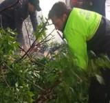 Tormentas en Rosario: reforzaron las guardias y resolvieron más de la mitad de los reclamos