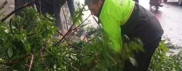 Tormentas en Rosario: reforzaron las guardias y resolvieron más de la mitad de los reclamos