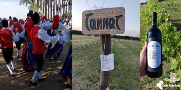 Fiesta de la Toscana en la Finca Don Esteban